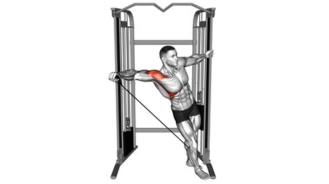 Lateral Raises Benefits