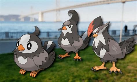 Image result for Starly Evolution Level