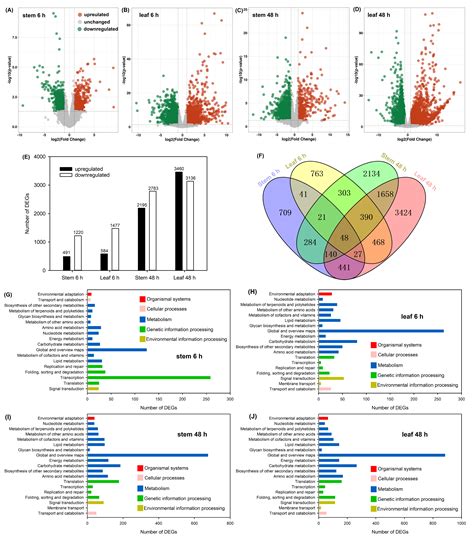 Physiological, Metabolome and Gene Expression Analyses Reveal the ...