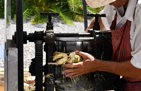 How is Rum Made? - The Seven Steps It Takes To Create Rum - Best White Rum