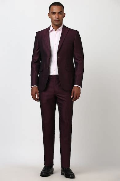 Buy Men Purple Solid Formal Two Piece Suit Online - 39681380 | Peter ...