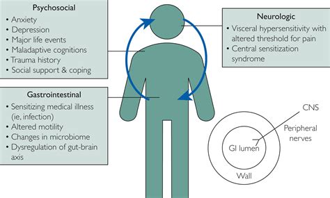 Approach to Disorders of Gut-Brain Interaction - Mayo Clinic Proceedings