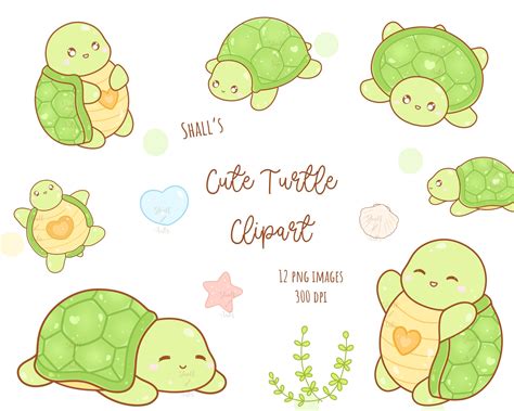Cute Turtle Clip Art Cute Turtle Image
