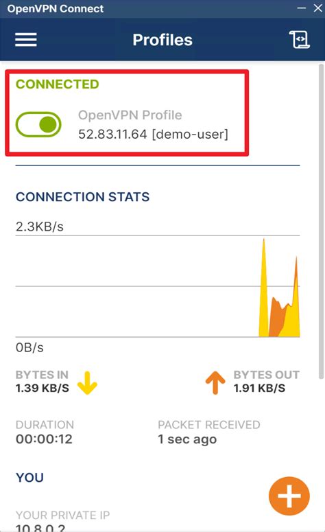 OpenVPN Server 的图像结果