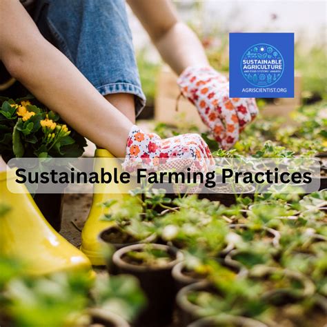 Agriculture Industry 的图像结果