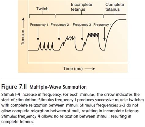 Image result for Wave Summation Graph