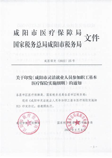 关于印发《咸阳市灵活就业人员参加职工基本医疗保险实施细则》的通知