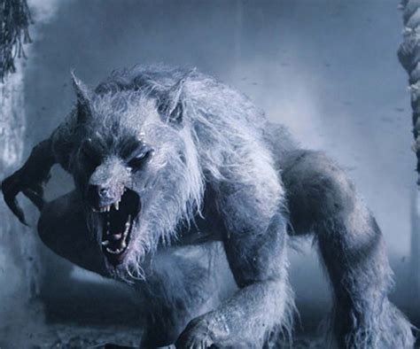 Pin on Werewolfs