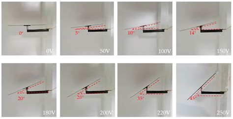 Miniature Ultralight Deformable Squama Mechanics and Skin Based on ...