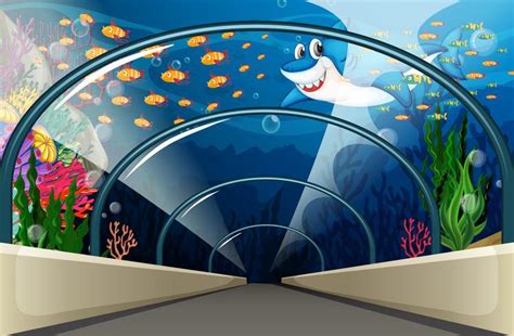 Public Aquarium with fish and coral reef 367503 Vector Art at Vecteezy