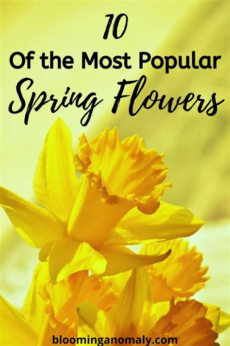Image result for Popular Spring Flowers