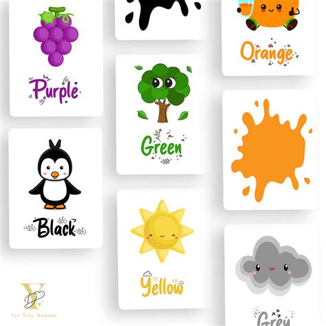 Doodle's Flash Cards - Colours – Buy Now at My Baby Babbles