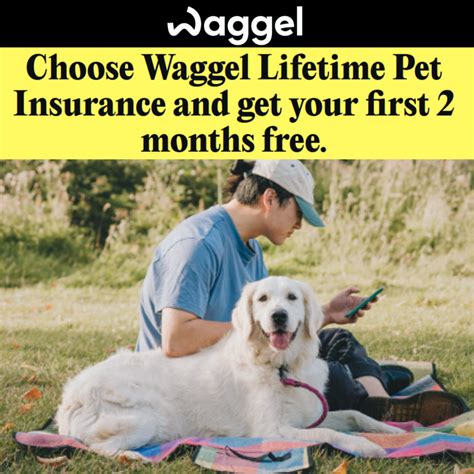 Free Pet Insurance (2 Months) | LatestFreeStuff.co.uk