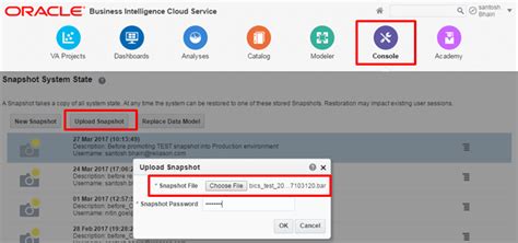 Oracle BICS 的图像结果