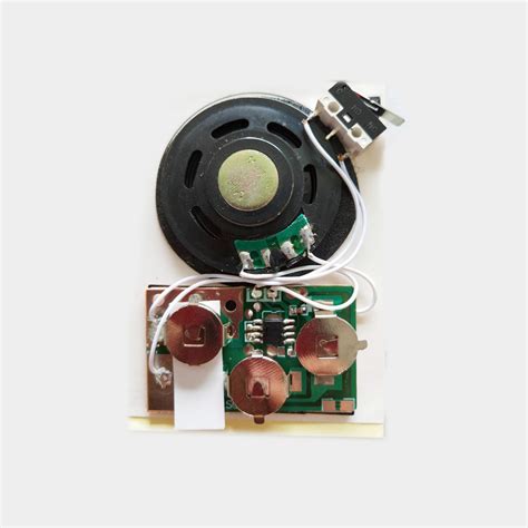 Image result for Sound Module