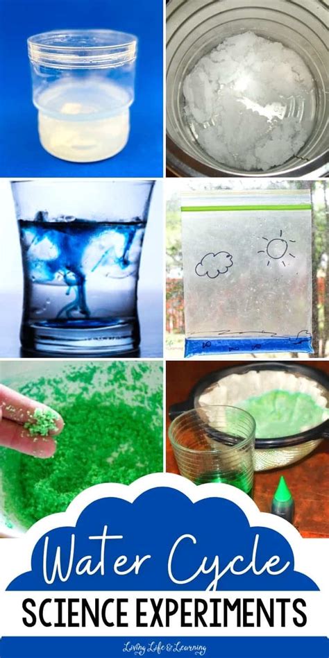 Image result for Water Cycle Science Experiment