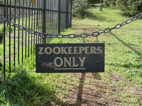 5 Things I Learned About We Bought A Zoo – The Uncool - The Official ...