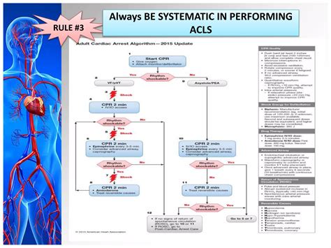 Image result for ACLS Code Blue Algorithm