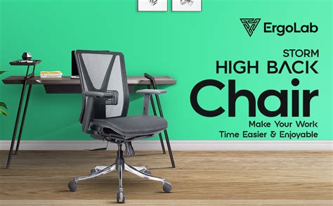 ErgoLab Tornado Office Chair, Mid Back Ergonomic Mesh Home Office Desk ...