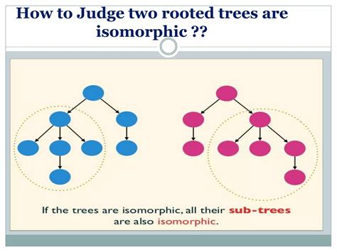 Graph Isomorphism Applications 的图像结果