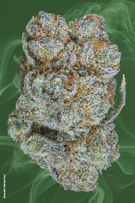 Image result for Alien Cheese Cracker