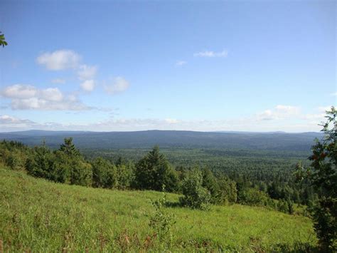 Ural Mountains & West Eurasian Taiga Forests (PA8) | One Earth