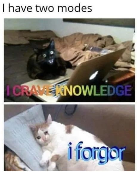 Information Knowledge Intuition Meme 的图像结果