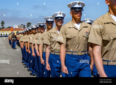USMC Graduation 的图像结果