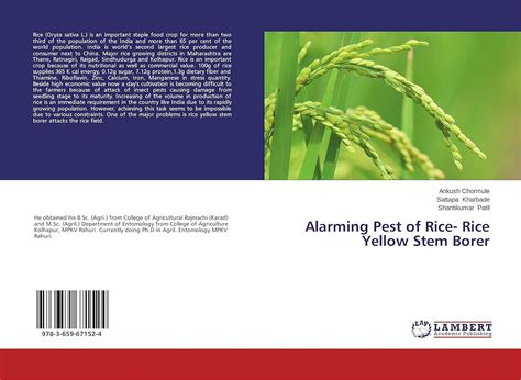 Buy Alarming Pest of Rice- Rice Yellow Stem Borer Book Online at Low ...