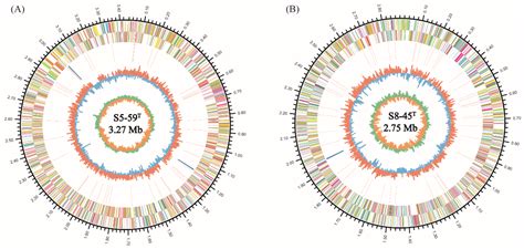 Genomic Insights into the Radiation-Resistant Capability of ...