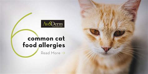 9 most common food allergies