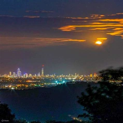 Mount Tamborine Glow Worm Night Tour from Gold Coast, Australia - Klook ...