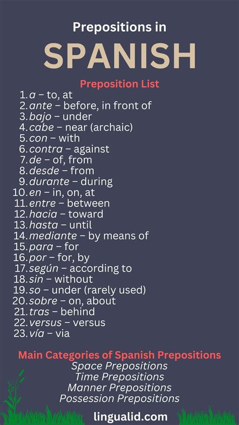 Best 13 Understanding the Difference: Muy vs Mucho in Spanish – Artofit