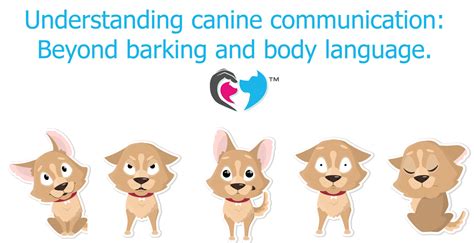 Beyond Barking: 7 Unique Features Of Dogs That Will Surprise You