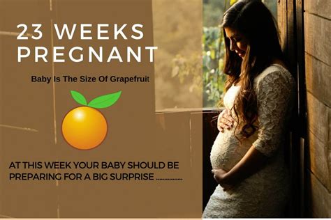 23 Weeks Pregnant: Your Baby’s Growth And Development – Babies Carrier
