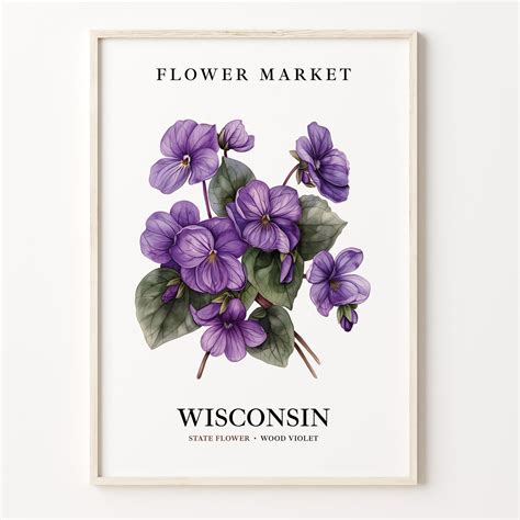 Wisconsin State Flower Art Print, Wood Violet 1960's Wall Art, Neutral ...