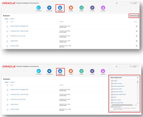 Oracle BICS 的图像结果