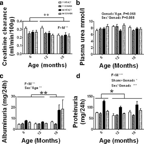 Image result for Net Filtration Rate Kidneys