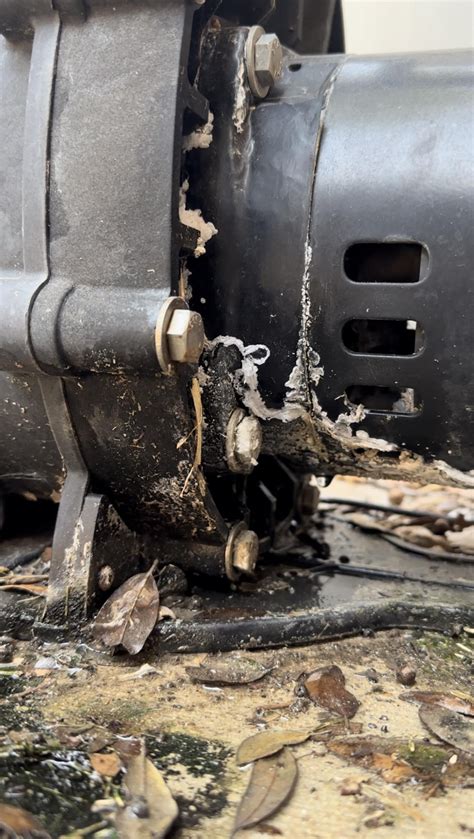 Image result for Pool Pump Leaking