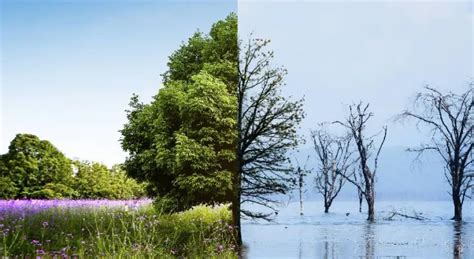 Climate Risks Recede In Near Term, Dominate Global Threat Outlook To ...