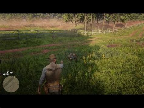 Image result for RDR2 How to Cheat Quick Draw PC