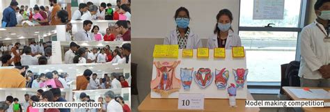 Anatomy | AIIMS K
