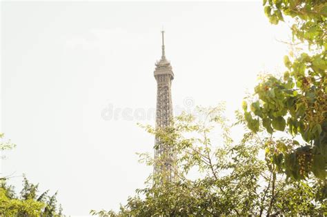 France 的图像结果