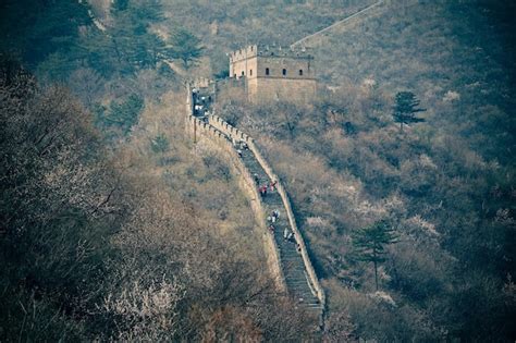 China View 的图像结果