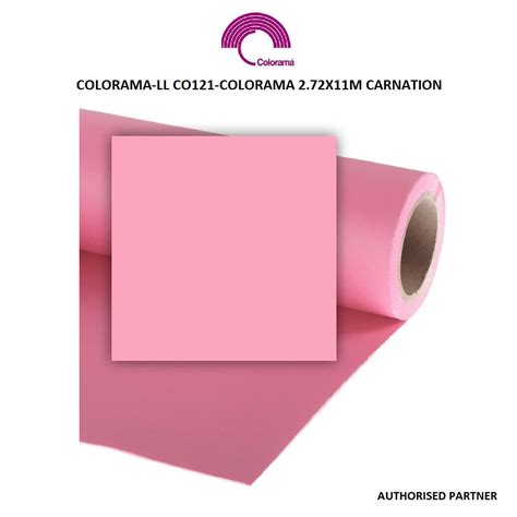 Colorama Background Paper 2.72 x 11m Carnation | Future Forward
