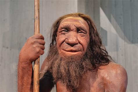 22 lipca 2022 Muzeum Neandertalczyka Niemcy Szczegółowa figura woskowa ...