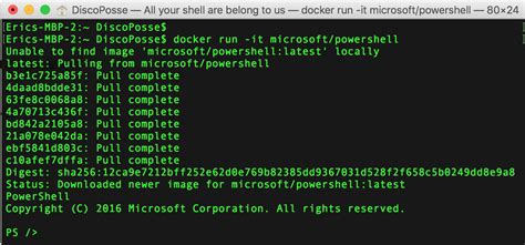 Running Docker From PowerShell 的图像结果