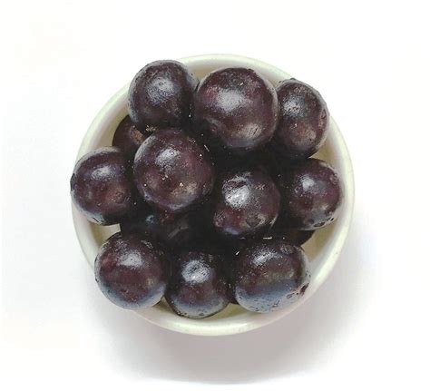 FreshoCartz Pan Shots | Instant Paan Ladoo | Pan Flavor Candy ( Paan ...