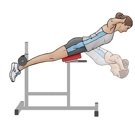 Tutorial Back Extension 的图像结果