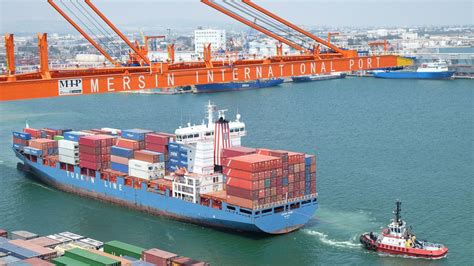 Local Trade 的图像结果